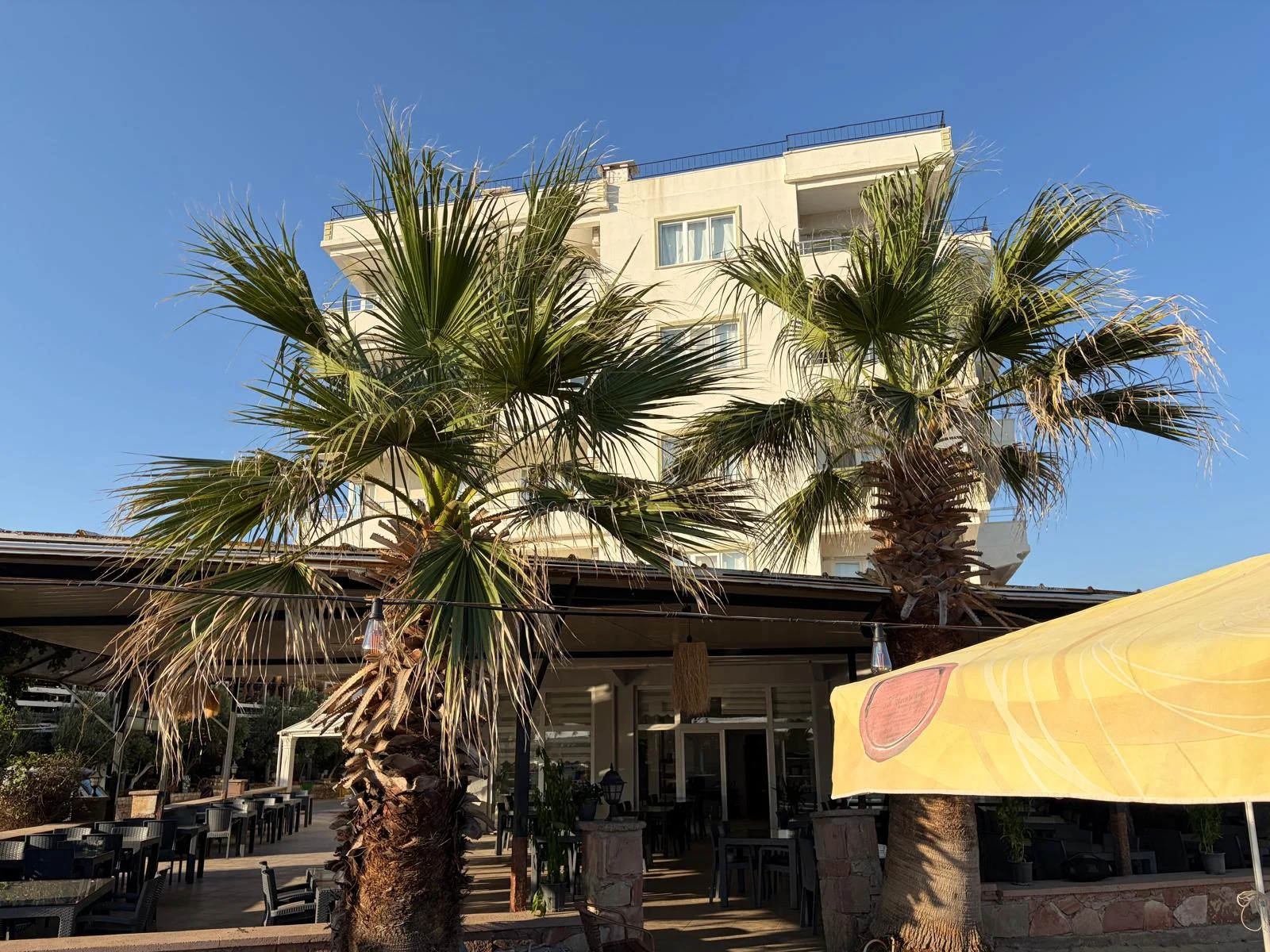 Royal Hotel otel galerisi fotoğrafı